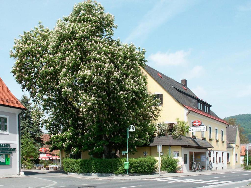 Gasthof Thaller Hotel Lebring Exterior photo